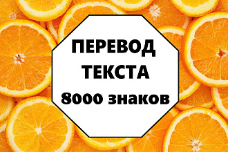Качественный и быстрый перевод Вашего текста
