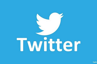 1000 подписчиков в ваш аккуант Twitter