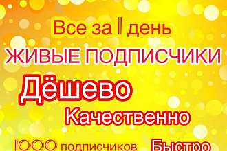Живые подписчики в Инстаграмм