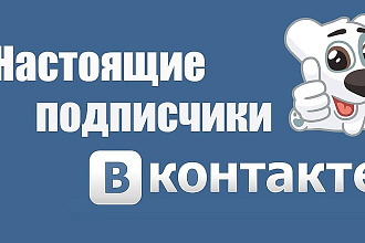 1000 Подписчиков в вашу группу Вконтакте