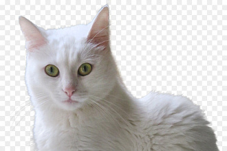 Уберу фон