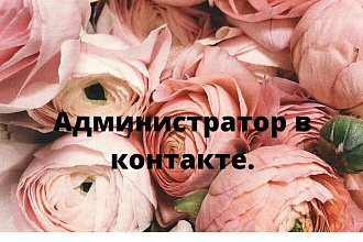 Администратор в в контакте