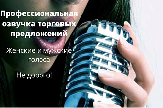 Озвучка торговых предложений, мужские и женские голоса