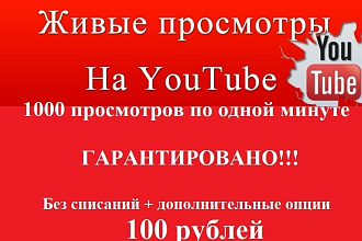 Качественные просмотры вашего видео от живых людей