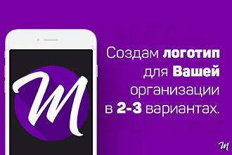 Логотип в 2-3х вариантах