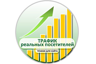 Трафик для сайта - посетители реальные, живые люди