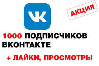 1000 подписчиков в группу или личную страницу в Вконтакте +бонусы