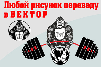 Переведу любой рисунок в вектор