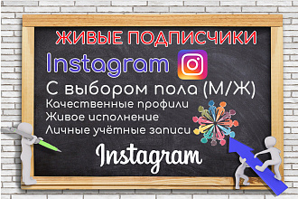 250 подписчиков в Instagram с возможностью выбора пола