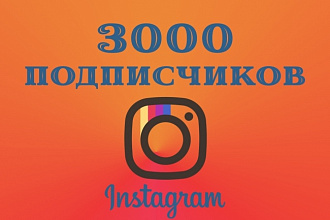 3000 подписчиков instagram