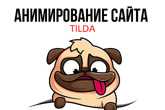 Анимация сайта
