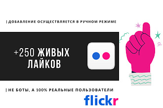 + 250 живых лайков в социальную сеть Flickr, ручная работа