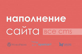 Заказывайте наполнение интернет-магазина