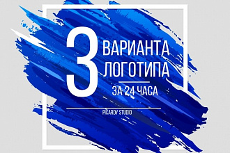 3 варианта логотипа ПО вашему эскизу ЗА 24 ЧАСА