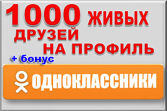 1000 друзей на профиль в Одноклассники. Без ботов и программ + бонус