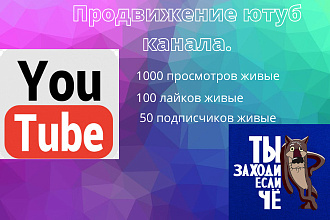 Комплексное продвижение в ютуб