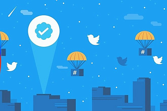 2 недели ведения аккаунта Twitter