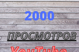 2000 реальных просмотров Youtube