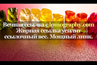 Качественная ссылка с сайта lomography.com