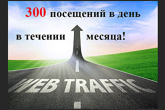 300 уникальных посетителей в день в течении месяца