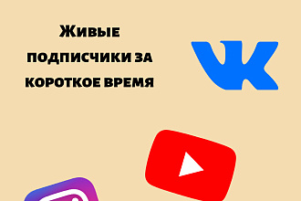 Смогу привлечь к вашему аккаунту живых подписчиков