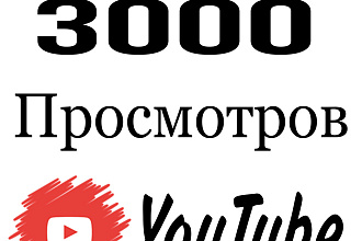 3000 просмотров ролика на YouTube реальными людьми