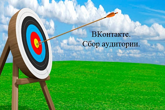 Сбор целевой аудитории ВКонтакте для рекламы