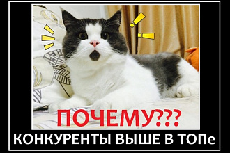 Комплексный аудит вашего сайта и сайтов 3 конкурентов