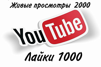 Комплексное продвижение you tube