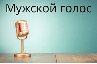 Озвучка ваших статей, писем, постов, роликов, реклам мужским голосом