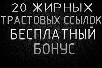 20 жирных вечных ссылок, установленные вручную на трастовые сайты