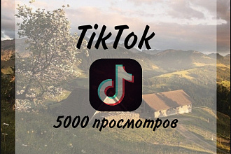 5000 Просмотров в ТикТок