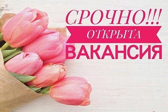 Создам тебе хорошую вакансию с красивым оформлением для любой работы