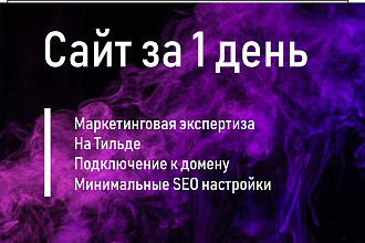 Создам сайт за 1 день на Тильде с маркетинговой экспертизой