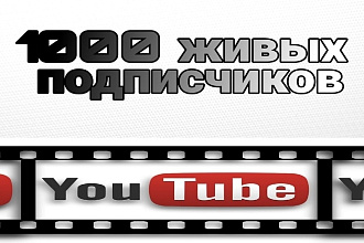 Просмотры, лайки, подписчики от живых людей