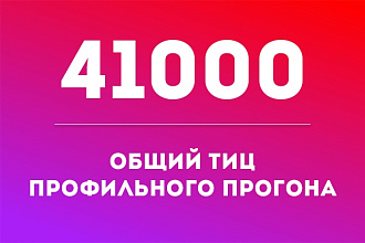 41000 общий ТИЦ профильного прогона