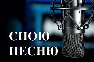 Спою песню