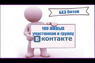 За день 100 живых участников в группу ВК. Никаких ботов
