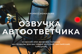 Профессиональная озвучка автоответчика. Женским или Мужским голосом