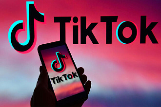 1000 Tik Tok подписчики за 500р