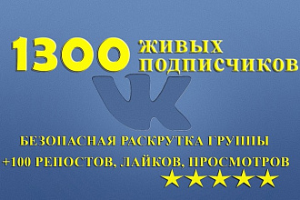 1100 подписчиков в группу ВК+бонус 50-200+100 лайков, репостов