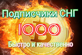 1000 русскоязычных инстаграм подписчиков+300 лайков
