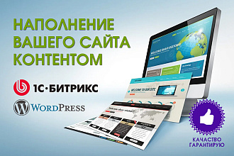 Наполнение сайта контентом