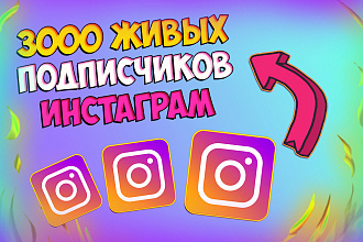 3000 живых подписчиков в Instagram. В короткие сроки