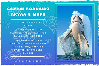 Оформлю посты в социальных сетях