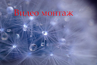 Монтаж и обработка видео