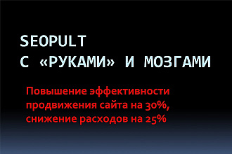 Профессиональное ведение аккаунта в SeoPULT в ручном режиме