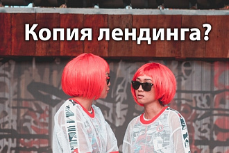 24 часа на дубликат любого лендинга