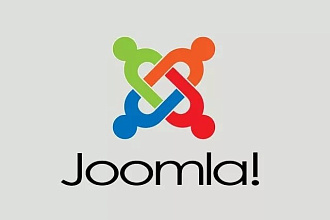 Отредактирую текст и вставлю фото на ваш сайт Joomla