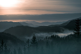 Перевод текста, английский
